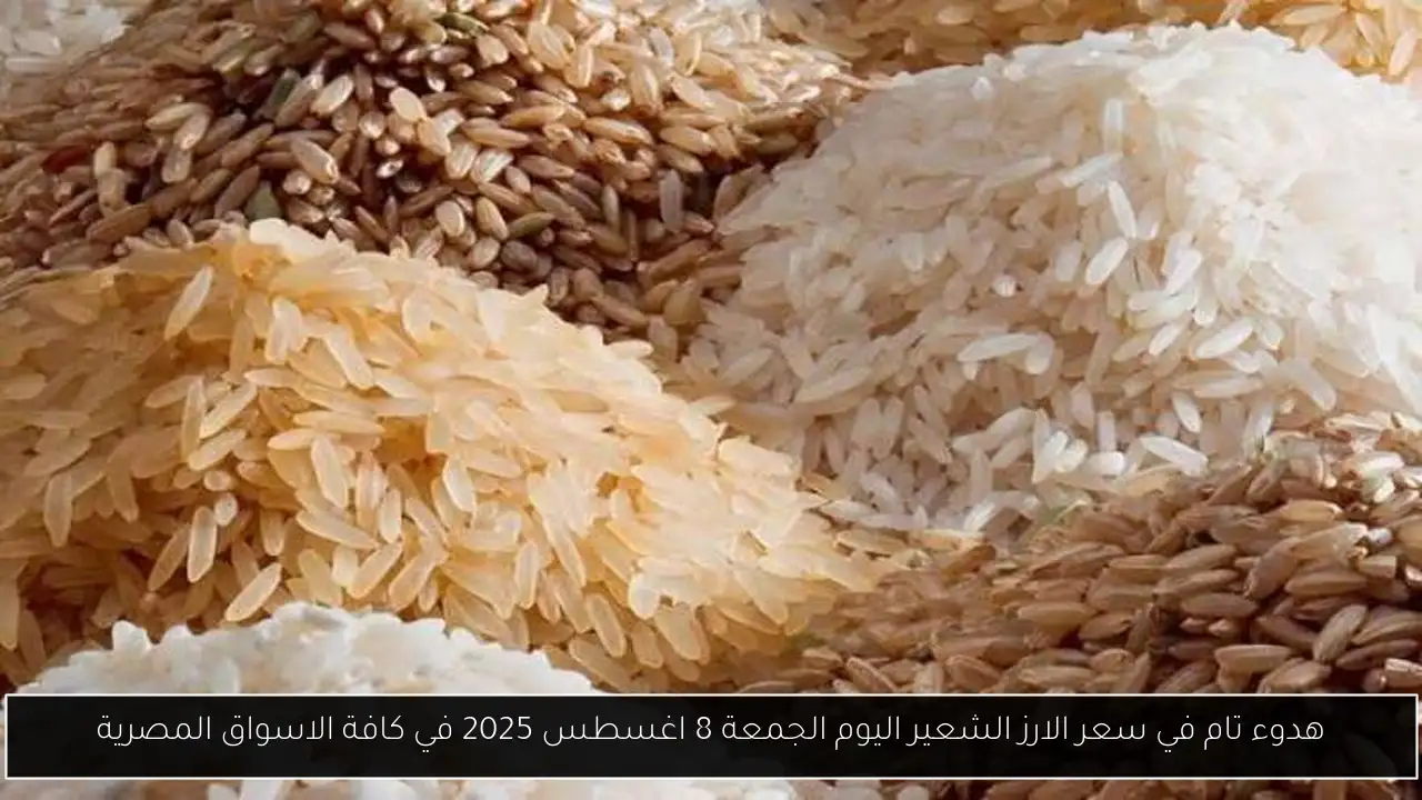 هدوء تام في سعر الارز الشعير اليوم الجمعة 8 اغسطس 2025 في كافة الاسواق المصرية