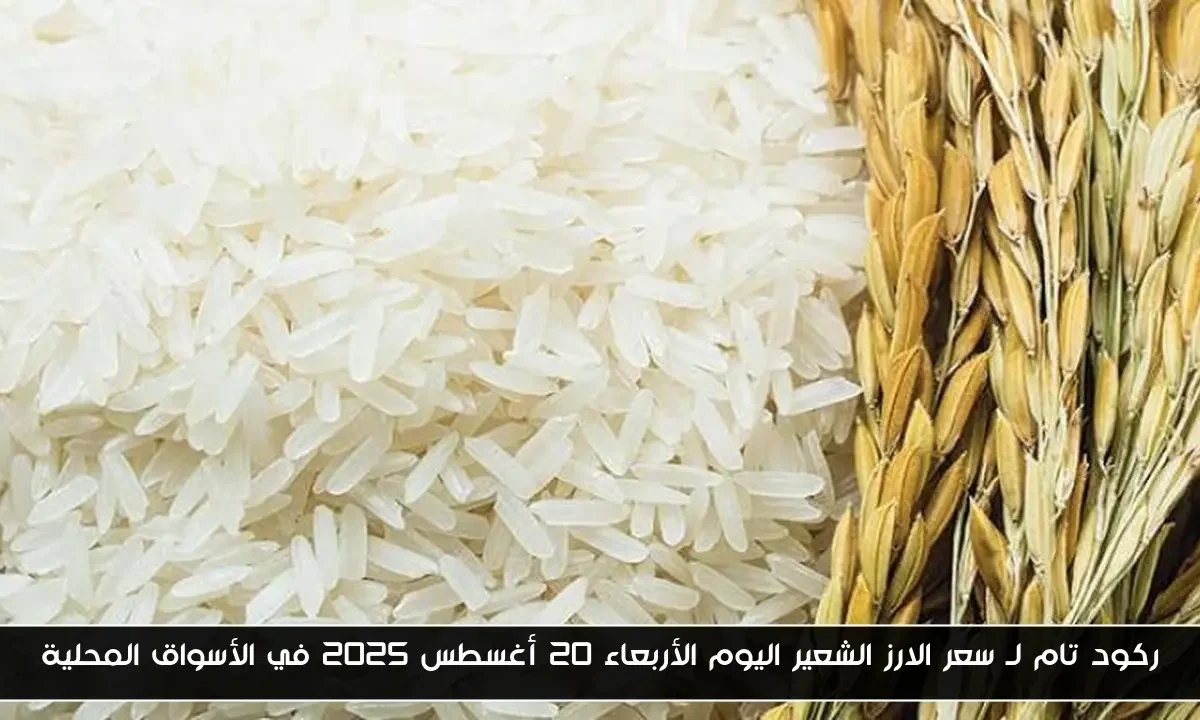 ركود تام لـ سعر الارز الشعير اليوم الأربعاء 20 أغسطس 2025 في الأسواق المحلية