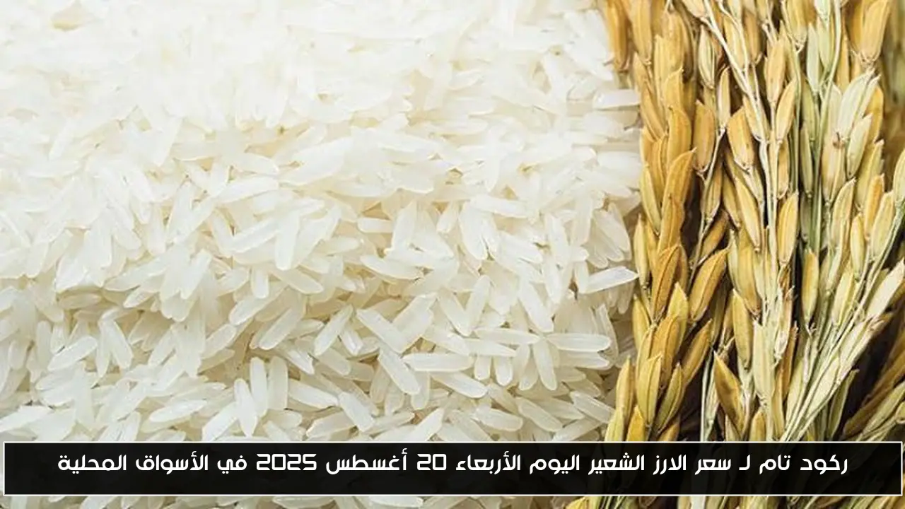 ركود تام لـ سعر الارز الشعير اليوم الأربعاء 20 أغسطس 2025 في الأسواق المحلية