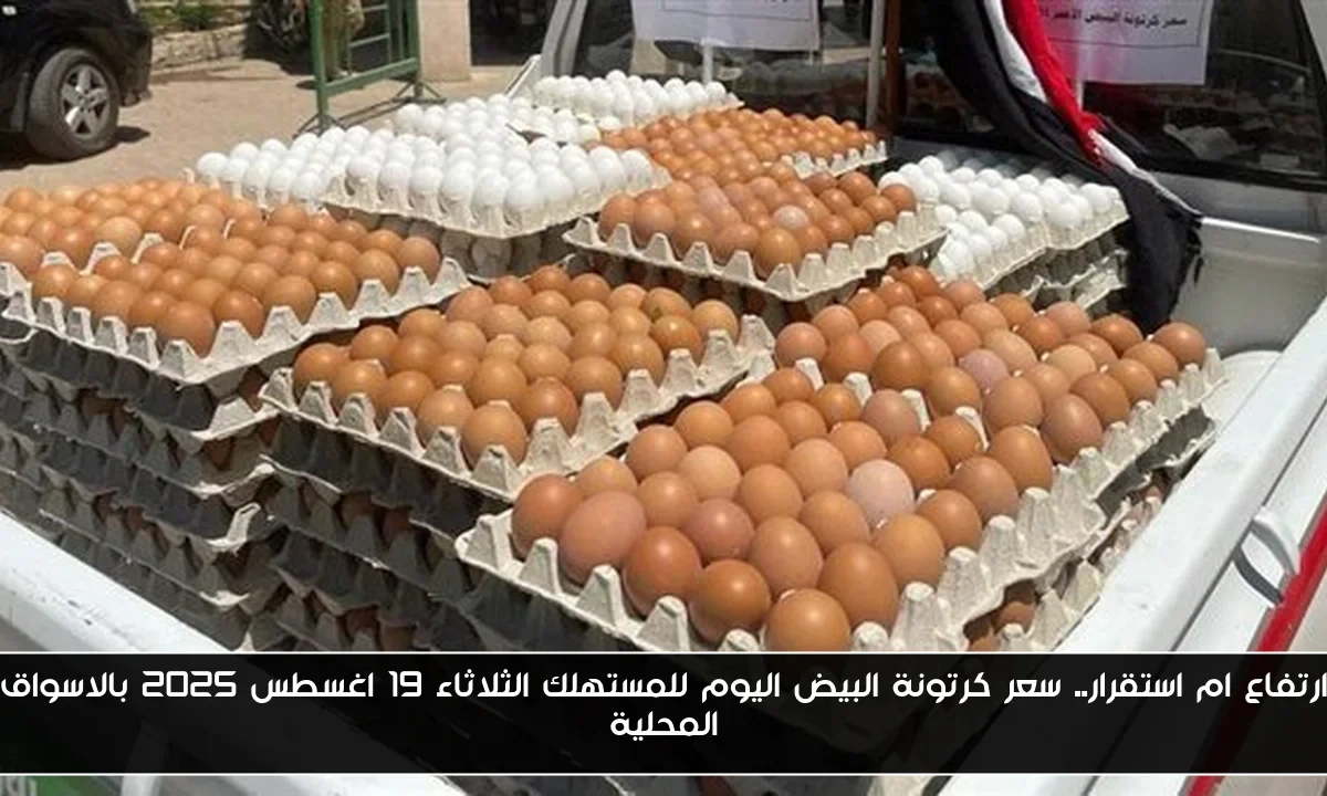 ارتفاع ام استقرار.. سعر كرتونة البيض اليوم للمستهلك الثلاثاء 19 اغسطس 2025 بالاسواق المحلية