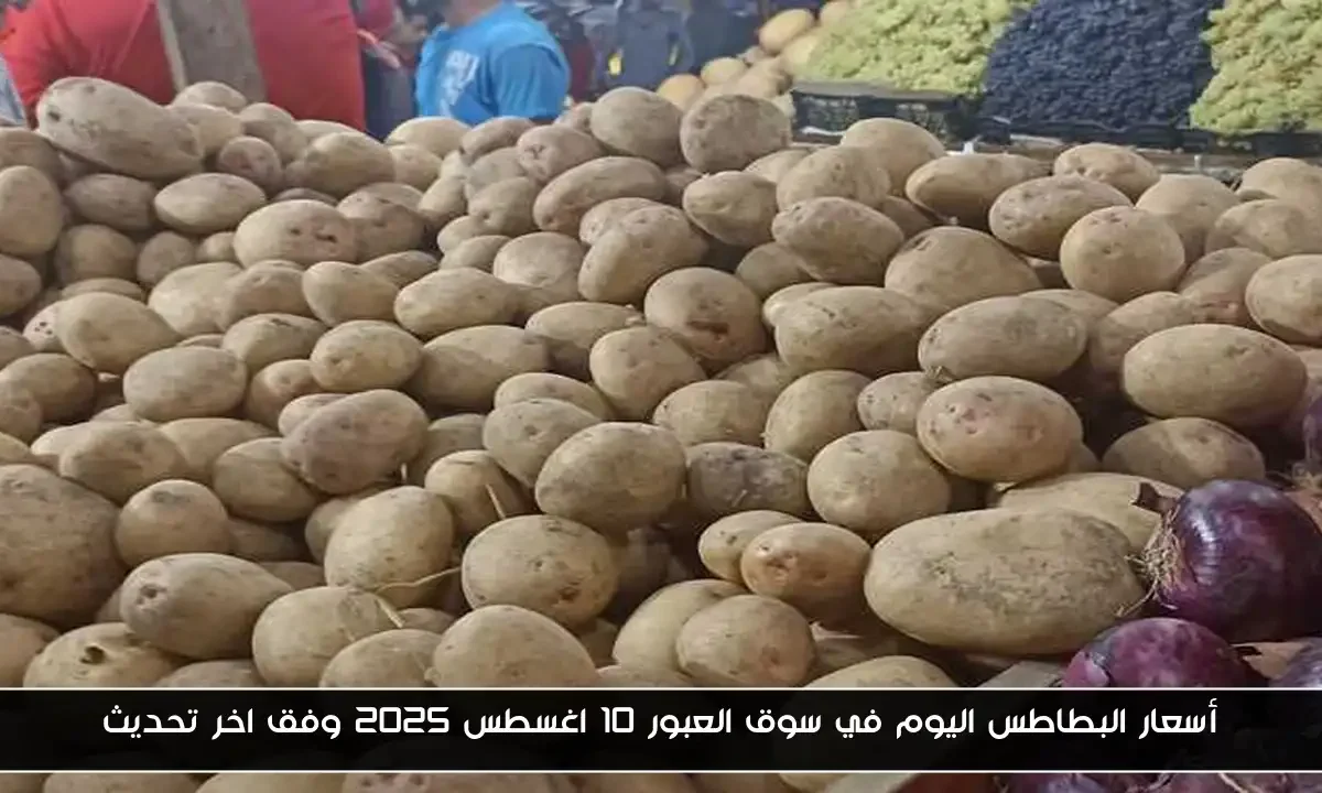 أسعار البطاطس اليوم في سوق العبور 10 اغسطس 2025 وفق اخر تحديث