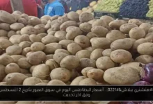 أسعار البطاطس اليوم في سوق العبور