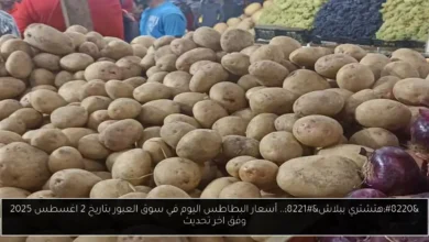 أسعار البطاطس اليوم في سوق العبور