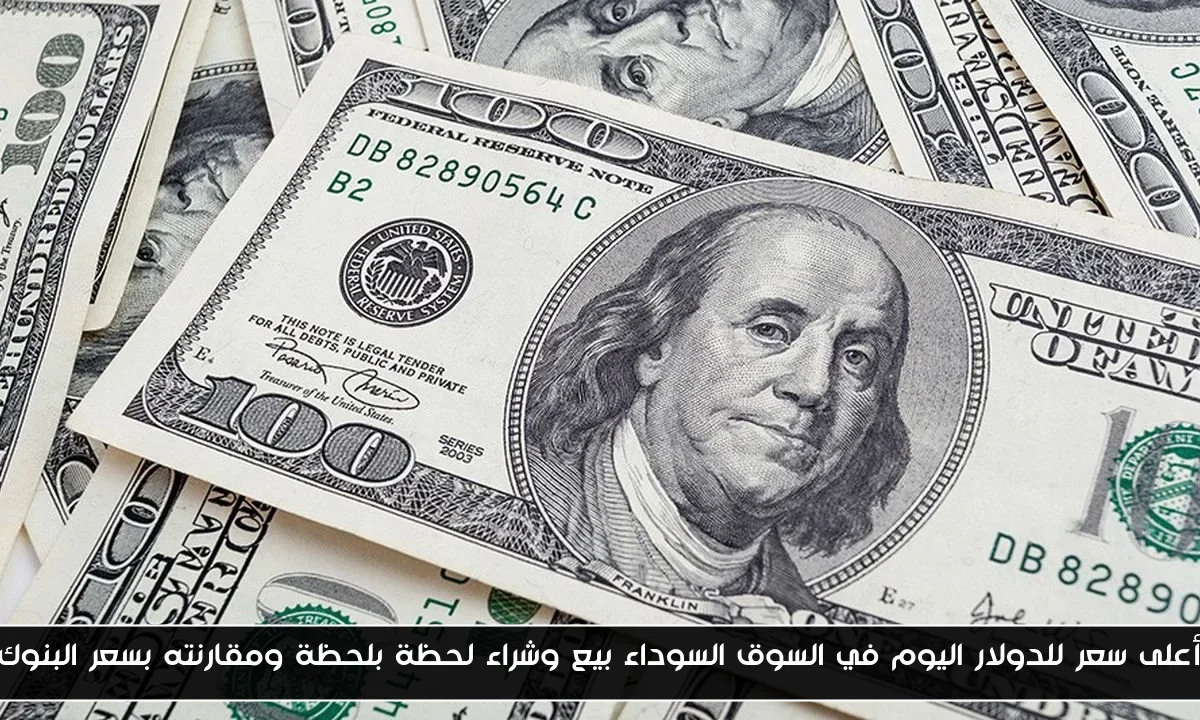 “رابط مفعل”.. استعلام بالرقم القومي تكافل وكرامة 2025 عبر moss.gov.eg واهم الشروط