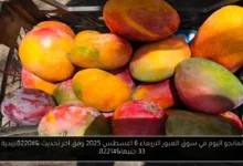 اسعار المانجو اليوم في سوق العبور