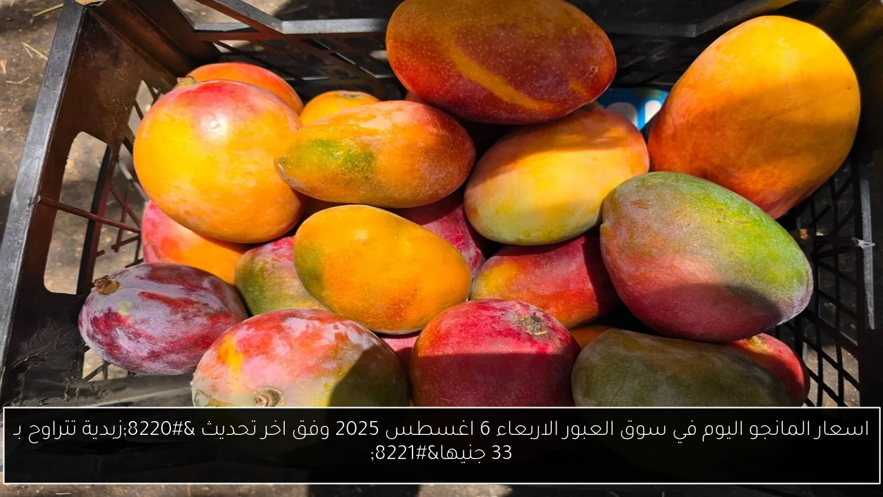 اسعار المانجو اليوم في سوق العبور