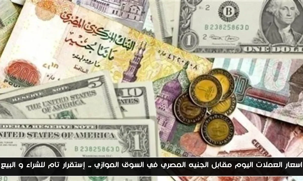 اسعار العملات اليوم مقابل الجنيه المصري في السوق الموازي .. إستقرار تام للشراء و البيع