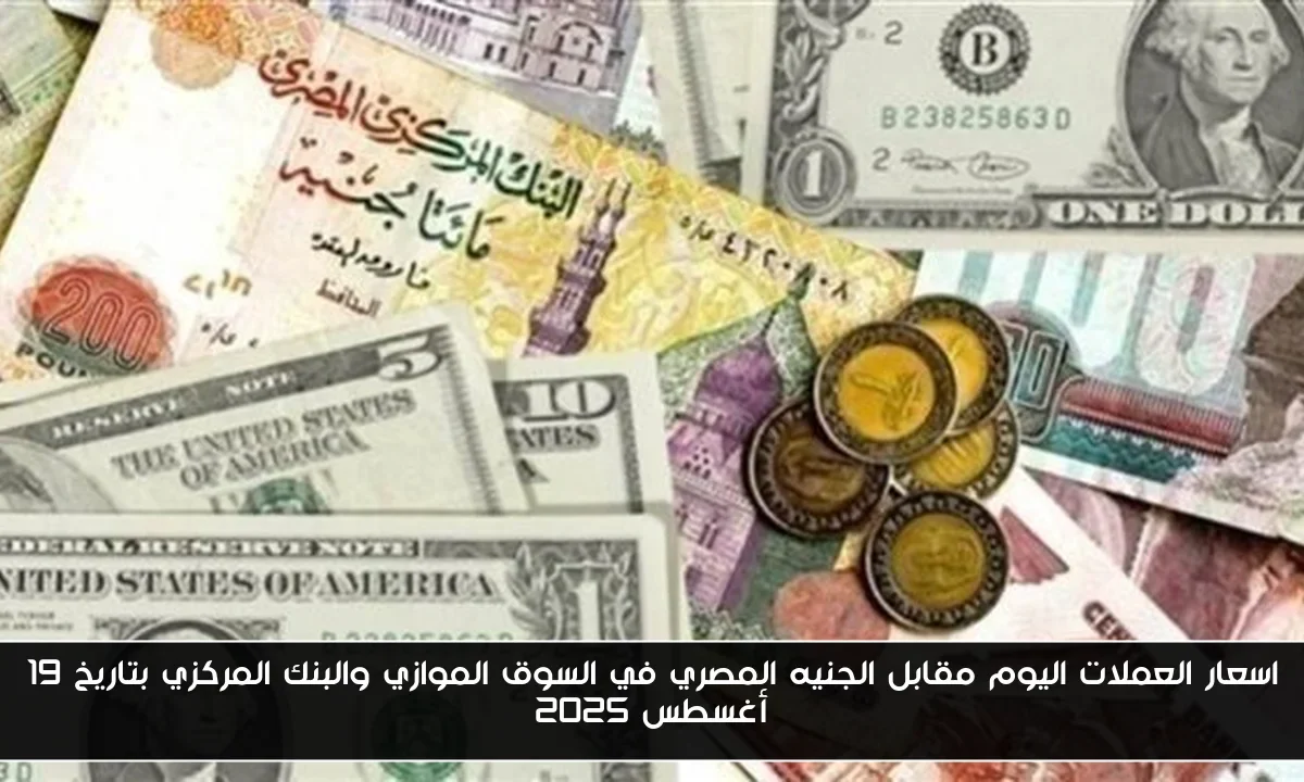 اسعار العملات اليوم مقابل الجنيه المصري في السوق الموازي والبنك المركزي بتاريخ 19 أغسطس 2025