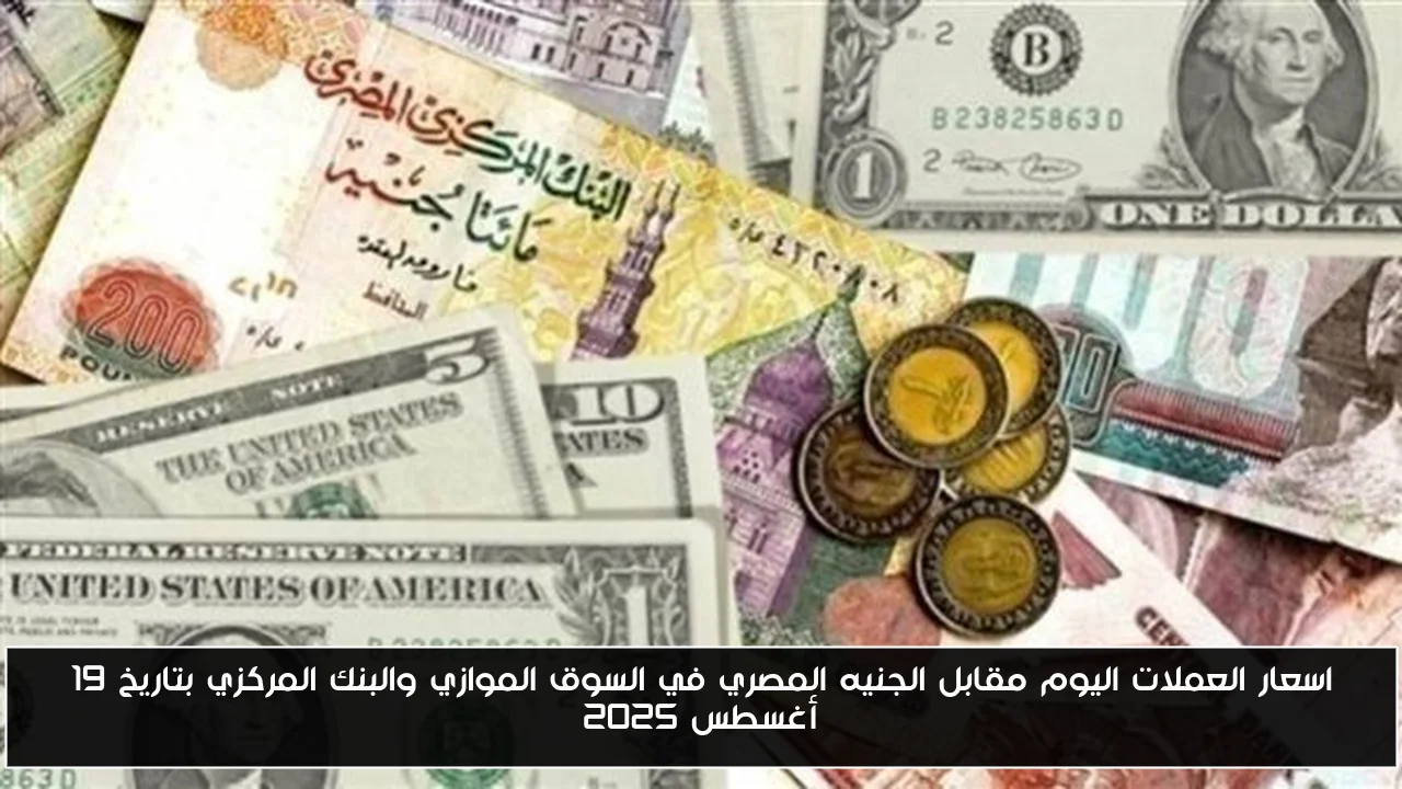 اسعار العملات اليوم مقابل الجنيه المصري في السوق الموازي والبنك المركزي بتاريخ 19 أغسطس 2025