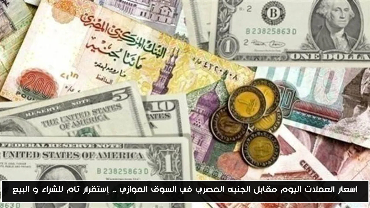 اسعار العملات اليوم مقابل الجنيه المصري في السوق الموازي .. إستقرار تام للشراء و البيع
