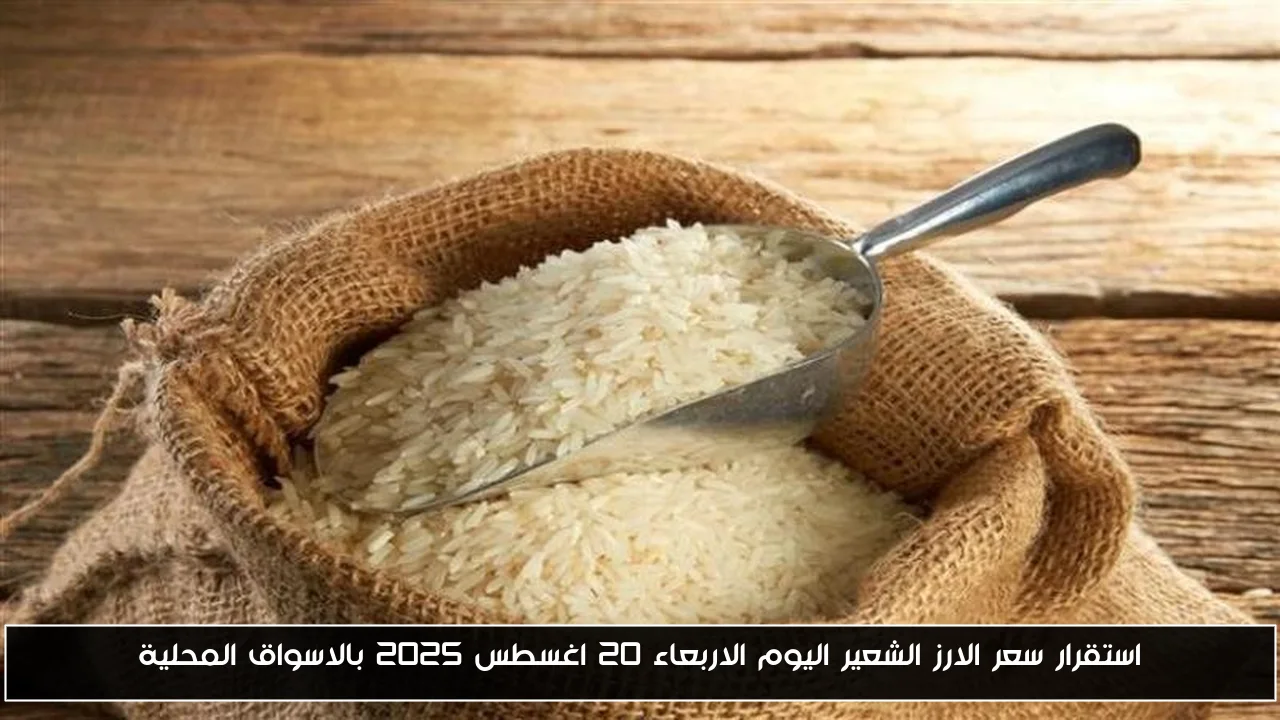 استقرار سعر الارز الشعير اليوم الاربعاء 20 اغسطس 2025 بالاسواق المحلية