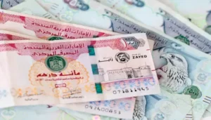 سعر الدرهم الاماراتي