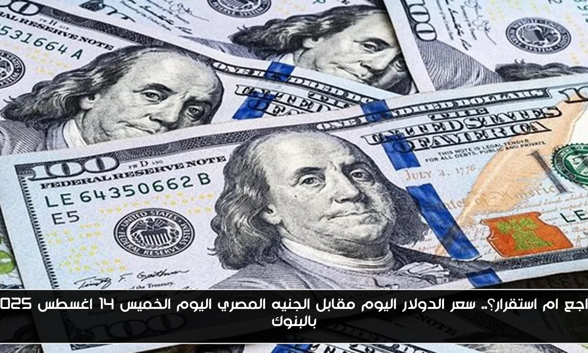 تراجع ام استقرار؟.. سعر الدولار اليوم مقابل الجنيه المصري اليوم الخميس 14 اغسطس 2025 بالبنوك