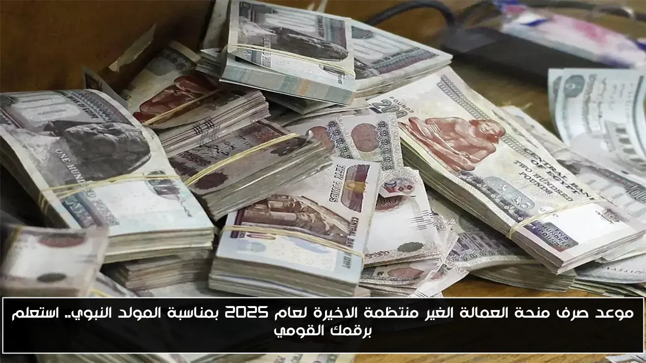 موعد صرف منحة العمالة الغير منتظمة الاخيرة لعام 2025 بمناسبة المولد النبوي.. استعلم برقمك القومي