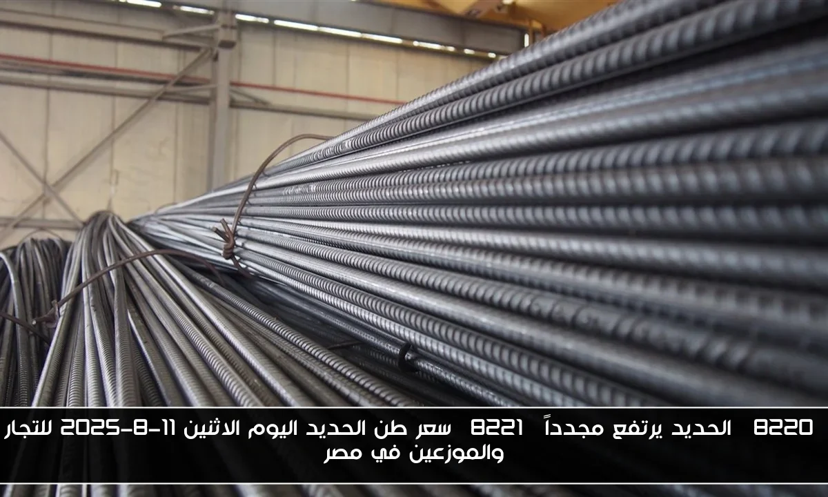 “الحديد يرتفع مجدداً” سعر طن الحديد اليوم الاثنين 11-8-2025 للتجار والموزعين في مصر
