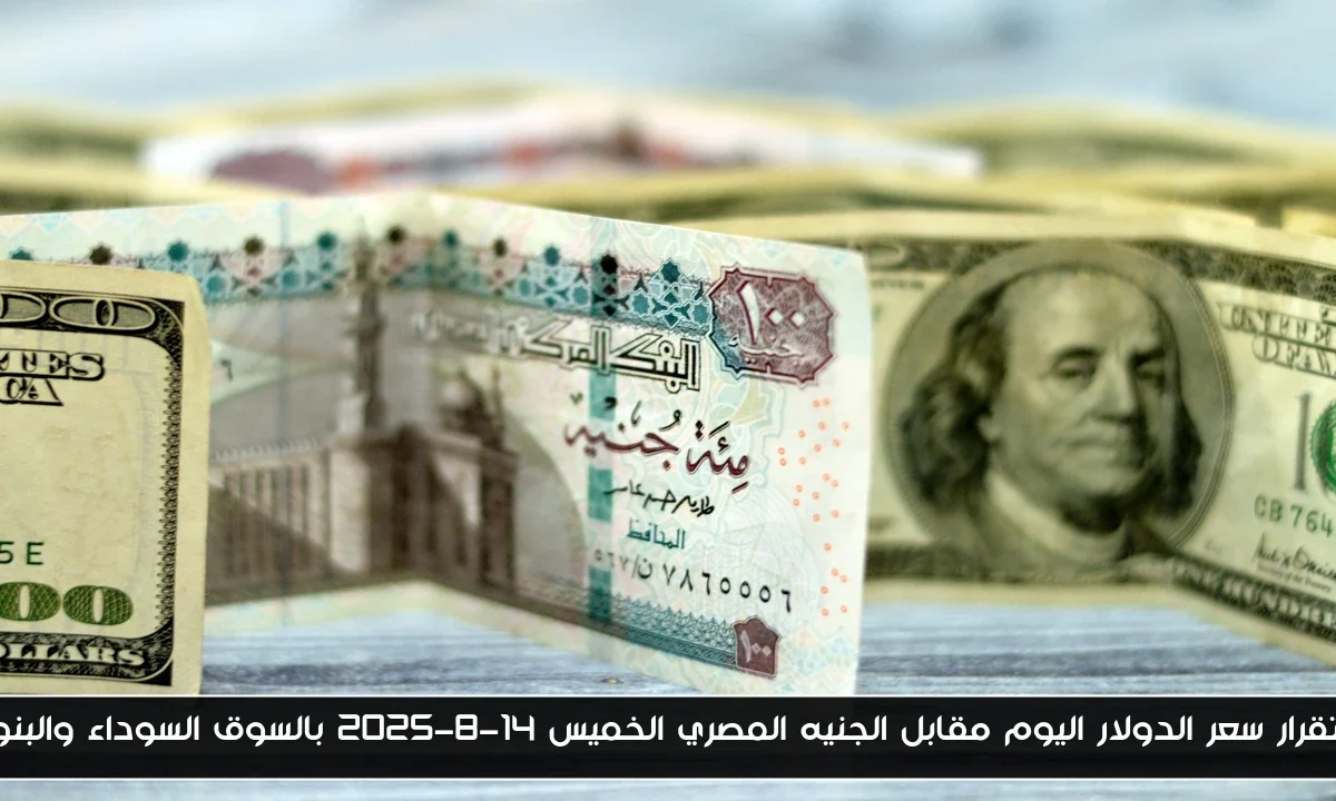 استقرار سعر الدولار اليوم مقابل الجنيه المصري الخميس 14-8-2025 بالسوق السوداء والبنوك