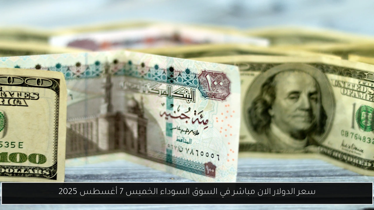 سعر الدولار الان مباشر في السوق السوداء