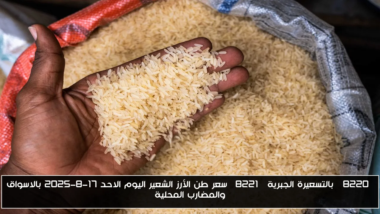 “بالتسعيرة الجبرية” سعر طن الأرز الشعير اليوم الاحد 17-8-2025 بالاسواق والمضارب المحلية
