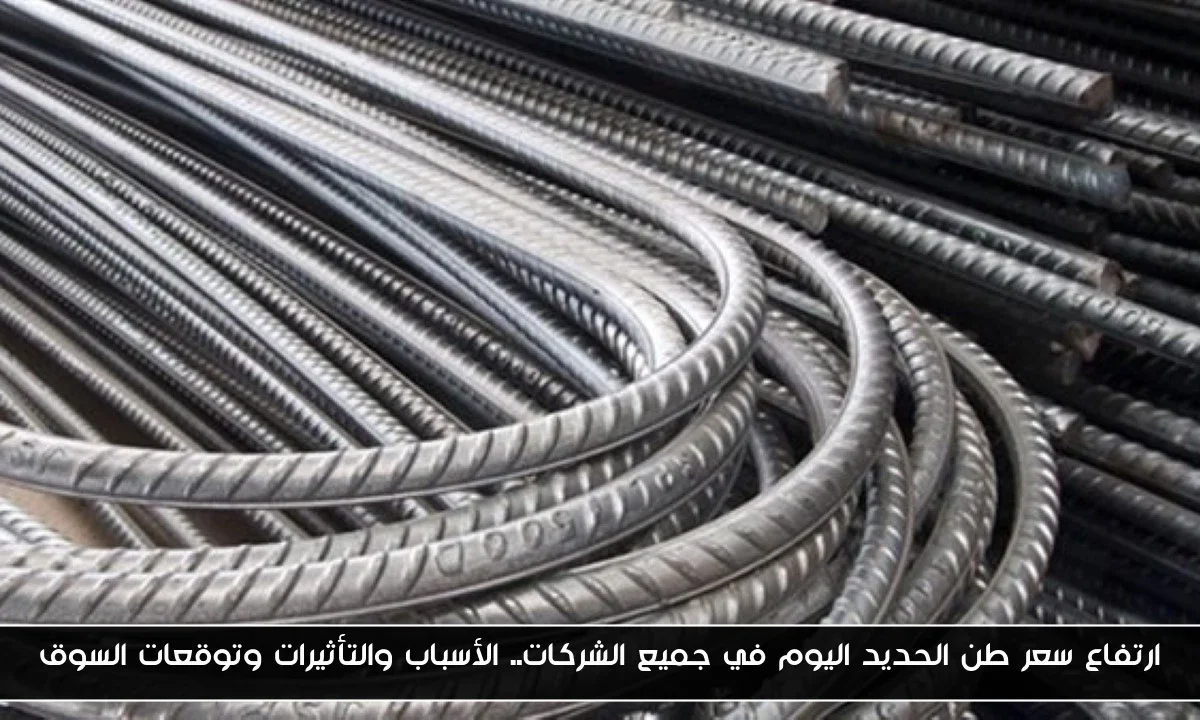 ارتفاع سعر طن الحديد اليوم في جميع الشركات.. الأسباب والتأثيرات وتوقعات السوق