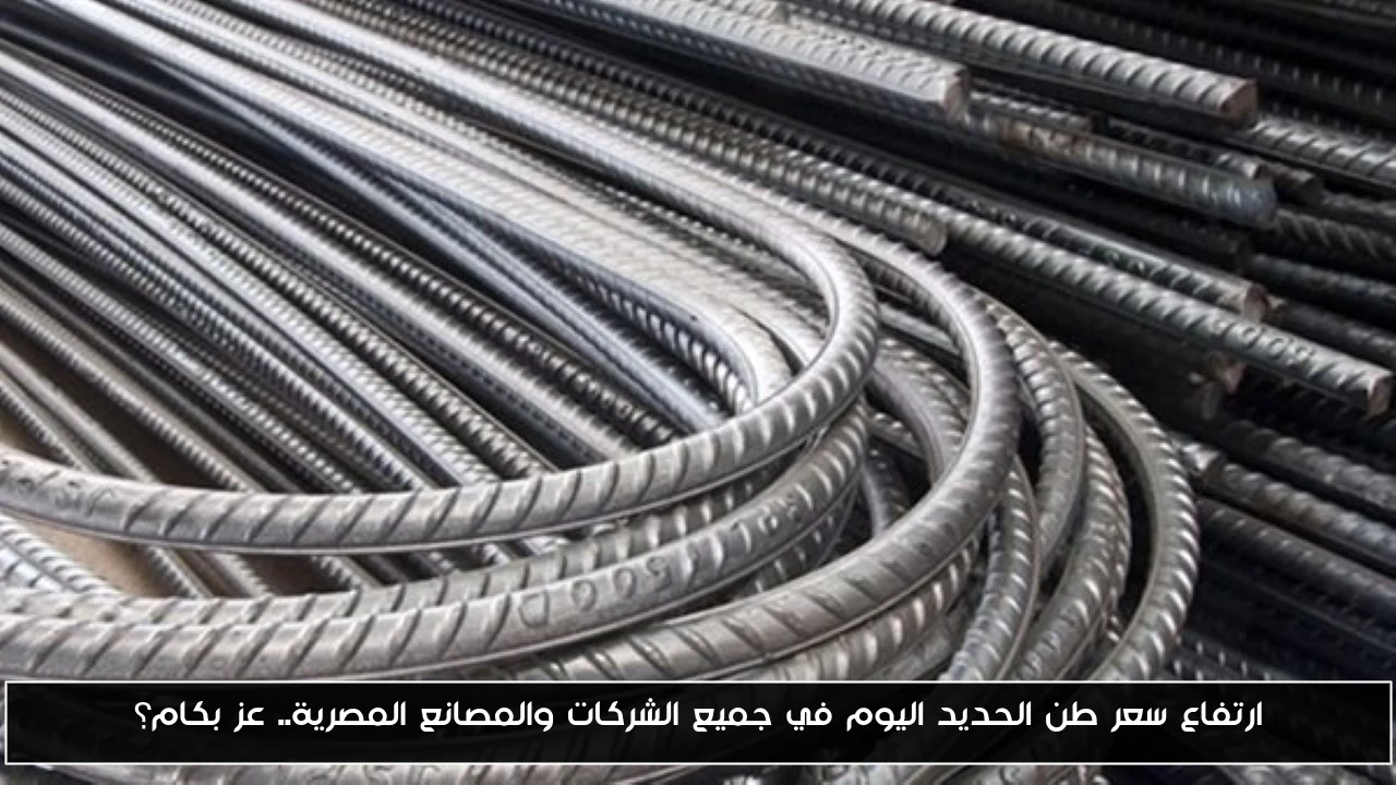 ارتفاع سعر طن الحديد اليوم في جميع الشركات والمصانع المصرية.. عز بكام؟
