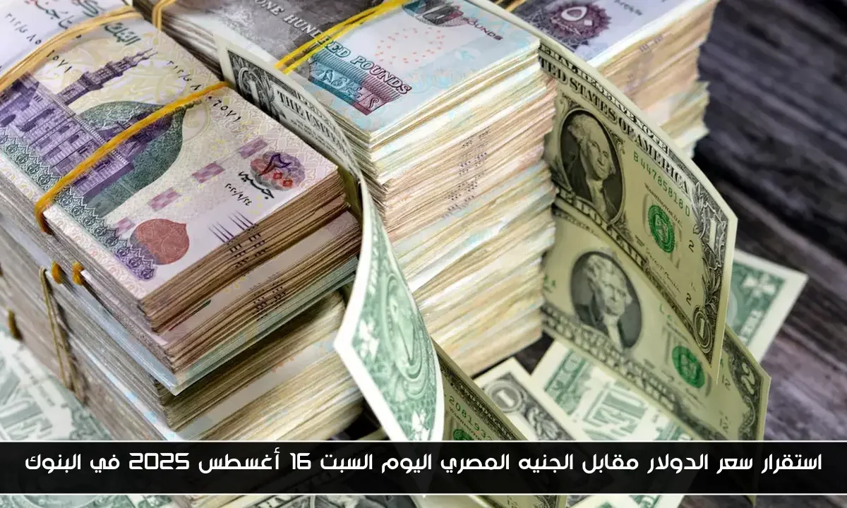 استقرار سعر الدولار مقابل الجنيه المصري اليوم السبت 16 أغسطس 2025 في البنوك