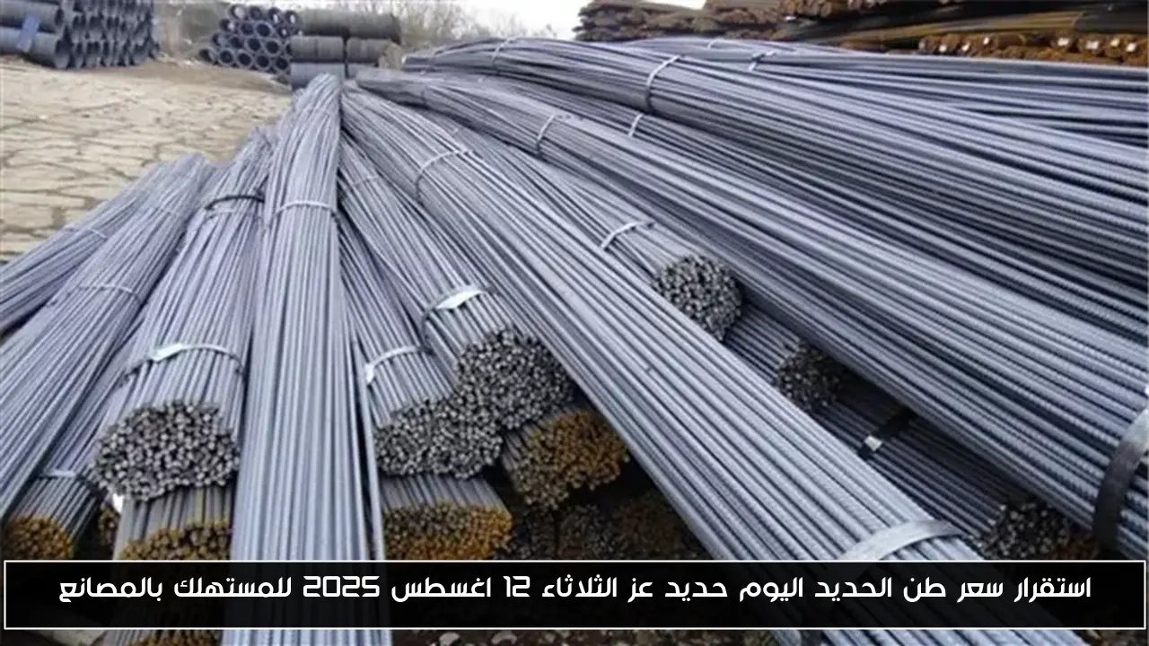 استقرار سعر طن الحديد اليوم حديد عز الثلاثاء 12 اغسطس 2025 للمستهلك بالمصانع