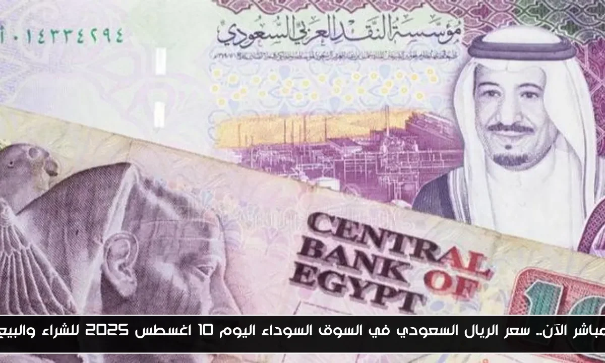 مباشر الآن.. سعر الريال السعودي في السوق السوداء اليوم 10 اغسطس 2025 للشراء والبيع