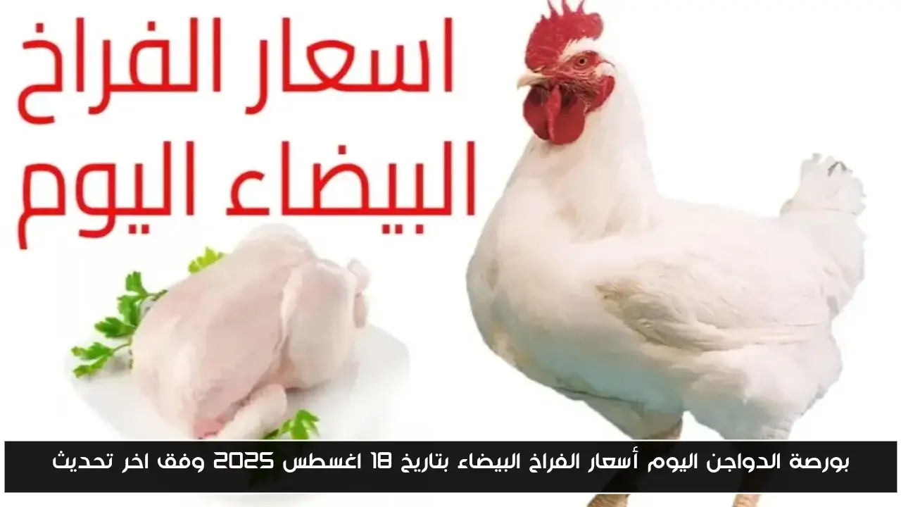 بورصة الدواجن اليوم أسعار الفراخ البيضاء بتاريخ 18 اغسطس 2025 وفق اخر تحديث