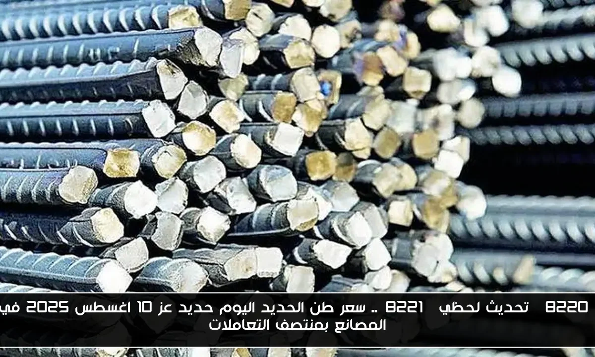 “تحديث لحظي”.. سعر طن الحديد اليوم حديد عز 10 اغسطس 2025 في المصانع بمنتصف التعاملات
