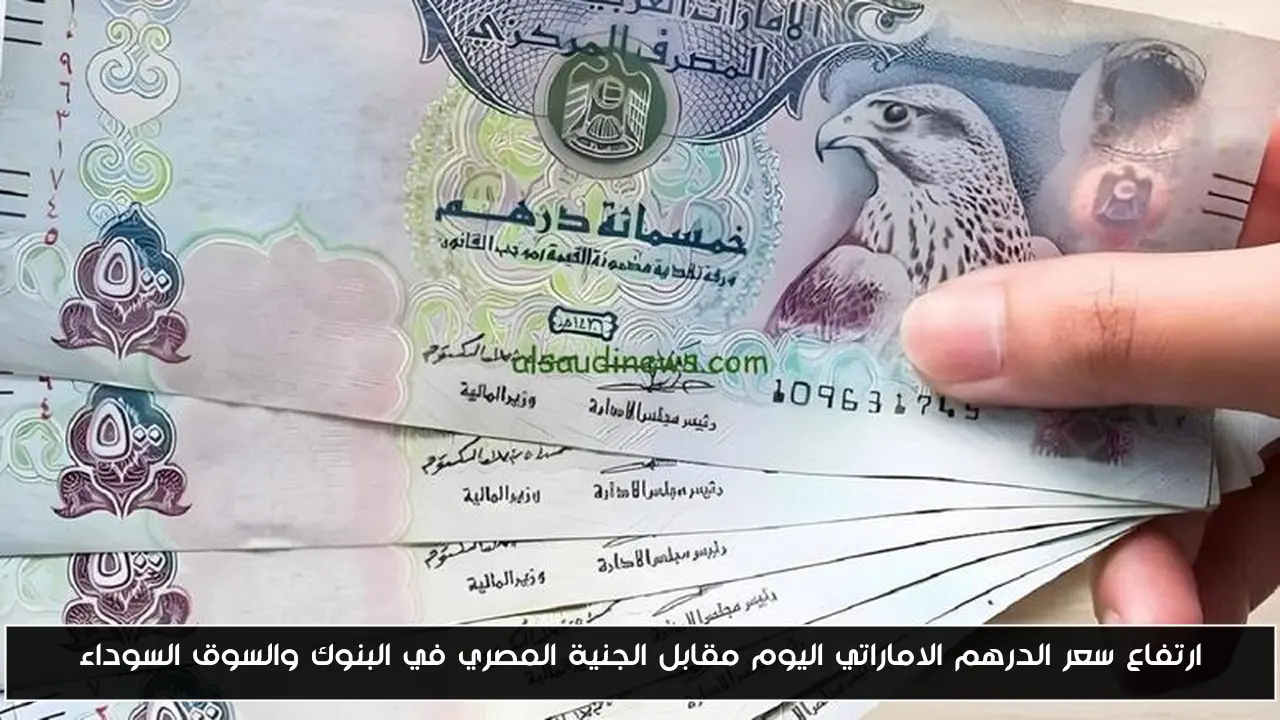 ارتفاع سعر الدرهم الاماراتي اليوم مقابل الجنية المصري في البنوك والسوق السوداء
