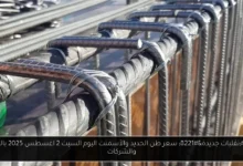 سعر طن الحديد والأسمنت اليوم