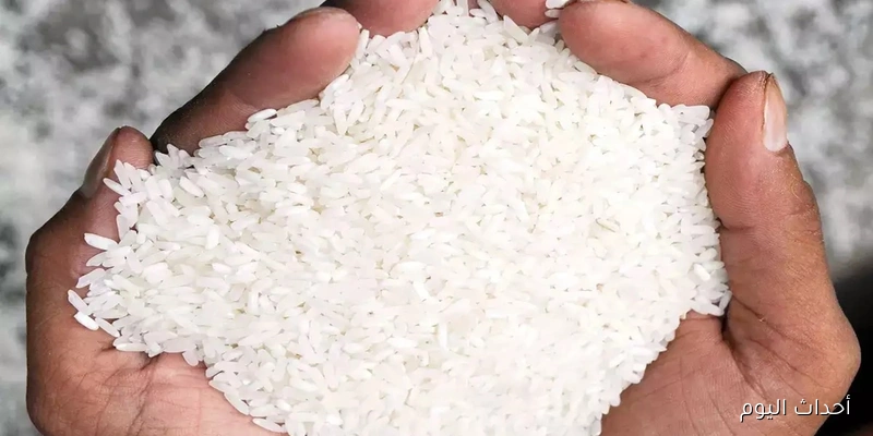 تسعيرة لحظية.. سعر طن الأرز الشعير اليوم الاثنين 25-8-2025 بالاسواق والمحلات التجارية