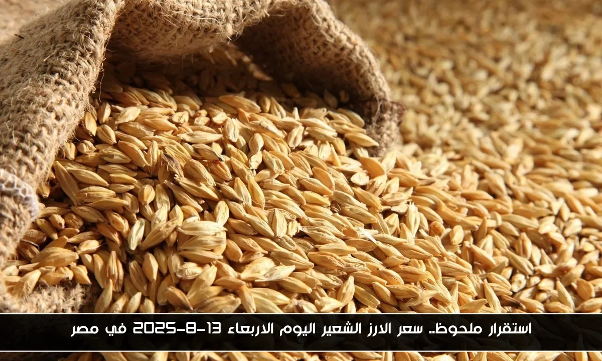 استقرار ملحوظ.. سعر الارز الشعير اليوم الاربعاء 13-8-2025 في مصر