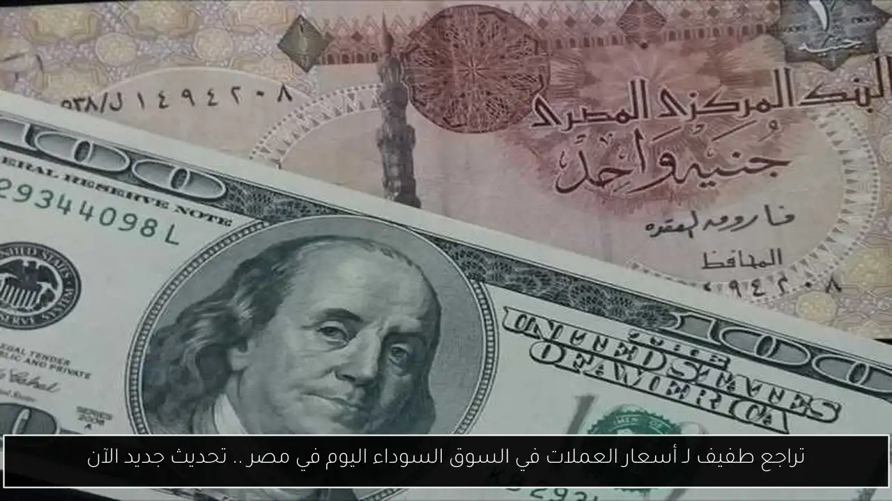 أسعار العملات في السوق السوداء اليوم في مصر