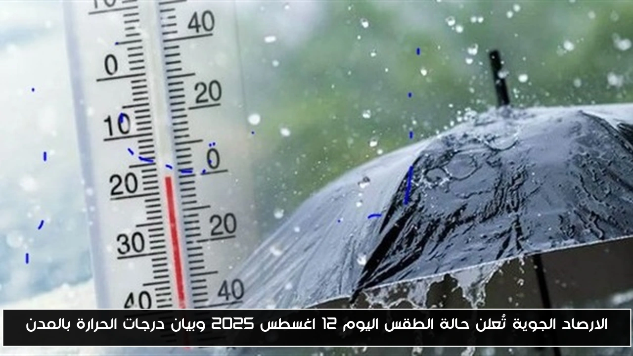الارصاد الجوية تُعلن حالة الطقس اليوم 12 اغسطس 2025 وبيان درجات الحرارة بالمدن