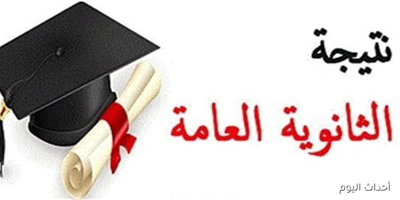 نذاكر نتيجة الثانوية العامة الدور الثاني 2025 بالاسم ورقم الجلوس عبر than.nezakr.net