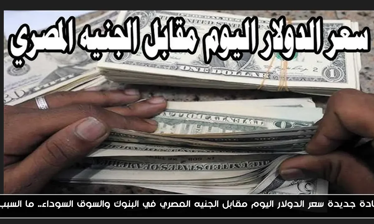 زيادة جديدة سعر الدولار اليوم مقابل الجنيه المصري في البنوك والسوق السوداء.. ما السبب؟