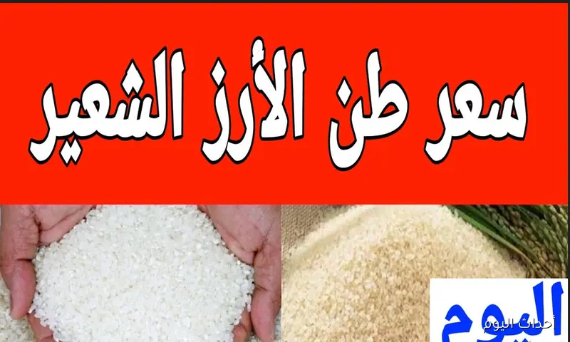 سعر الأرز الشعير اليوم الجمعة 22 أغسطس 2025 الاسواق والمضارب المصرية