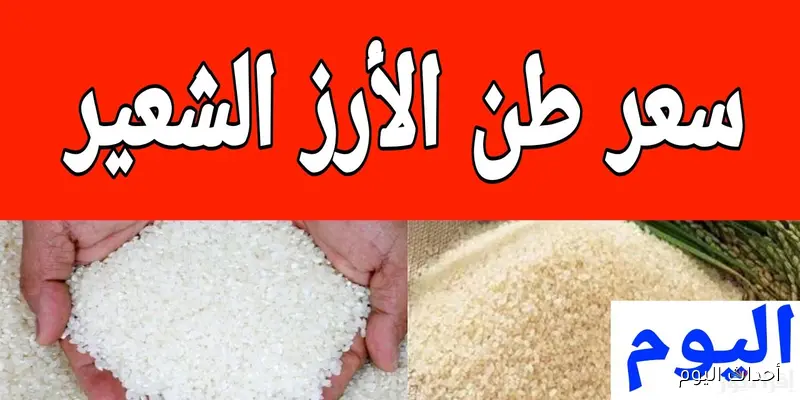 سعر الأرز الشعير اليوم الاثنين 25 أغسطس 2025 في المضارب والأسواق المصرية