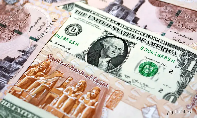 أعلى سعر للدولار اليوم في السوق السوداء في مصر.. اخر تحديثات لاسعار البيع والشراء