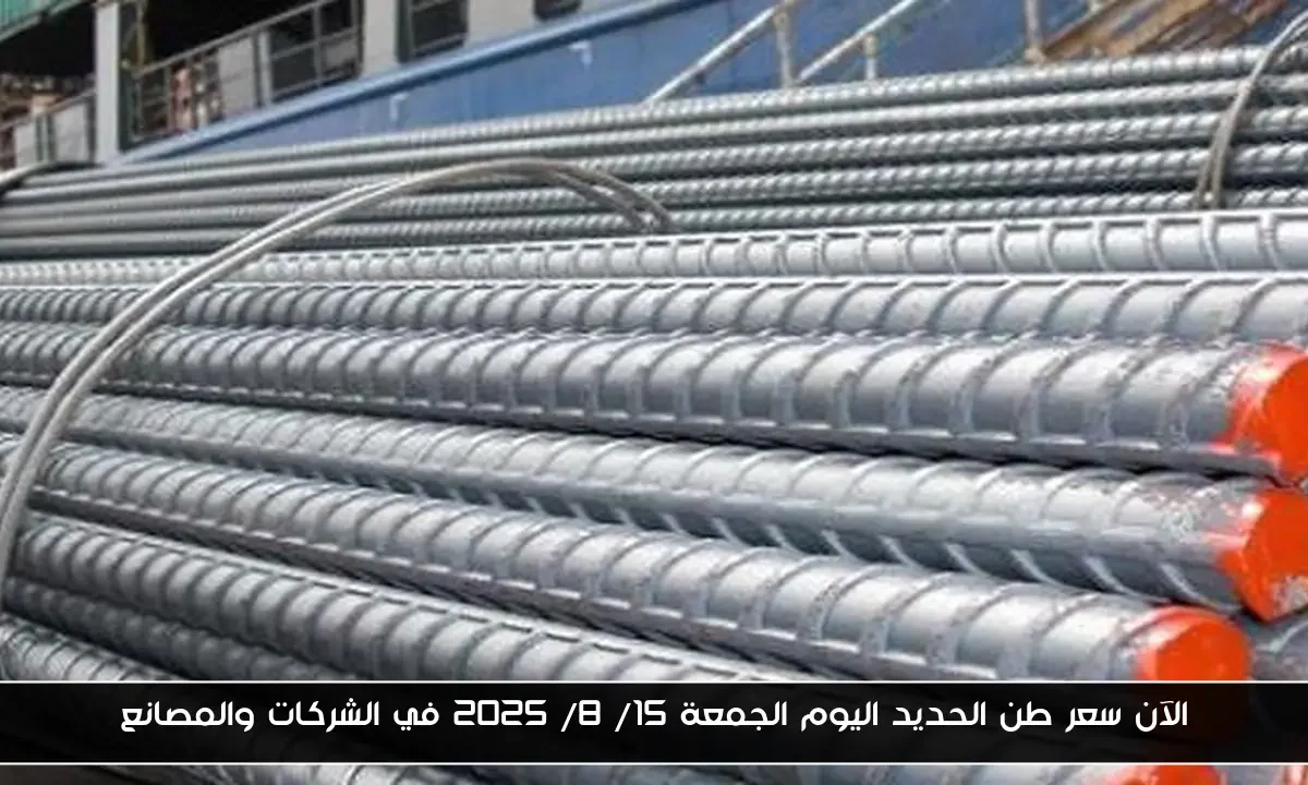 الآن سعر طن الحديد اليوم الجمعة 15/ 8/ 2025 في الشركات والمصانع