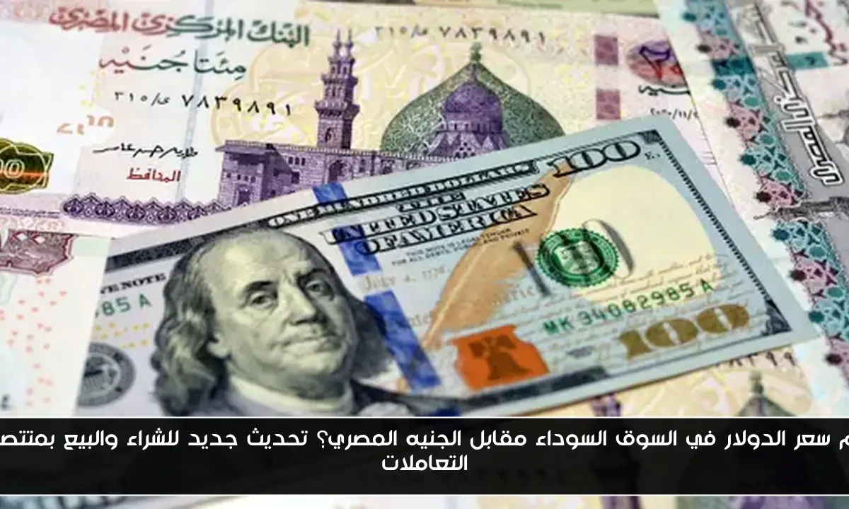 كم سعر الدولار في السوق السوداء مقابل الجنيه المصري؟ تحديث جديد للشراء والبيع بمتتصف التعاملات