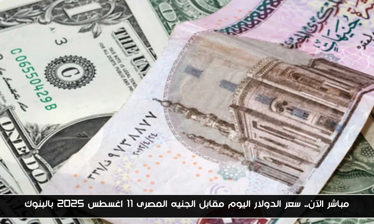 مباشر الآن.. سعر الدولار اليوم مقابل الجنيه المصرى 11 اغسطس 2025 بالبنوك