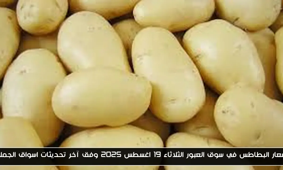 اسعار البطاطس في سوق العبور الثلاثاء 19 اغسطس 2025 وفق آخر تحديثات اسواق الجمله