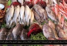 اسعار السمك اليوم