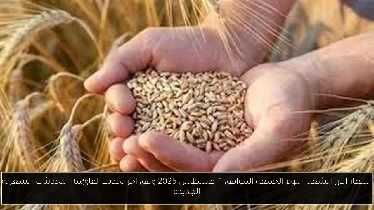 اسعار الارز الشعير اليوم