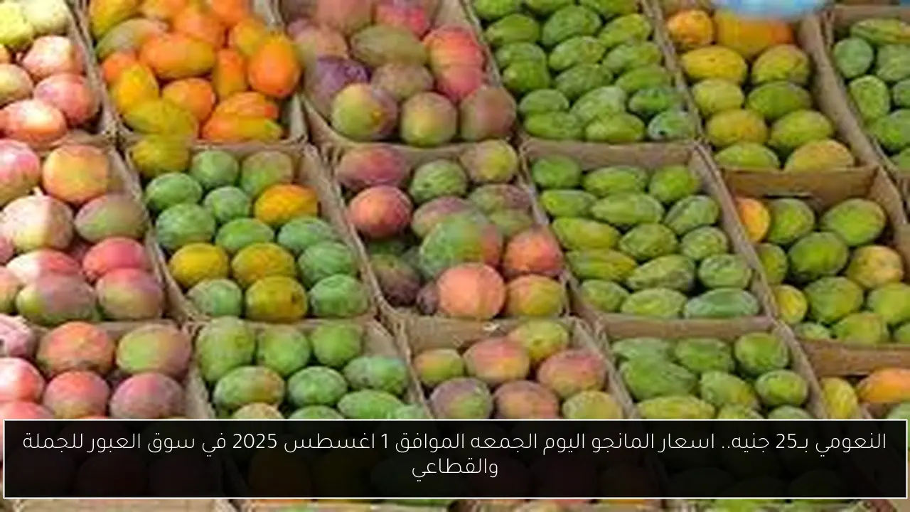 اسعار المانجو اليوم