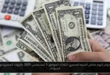 سعر الدولار اليوم مقابل الجنيه المصري