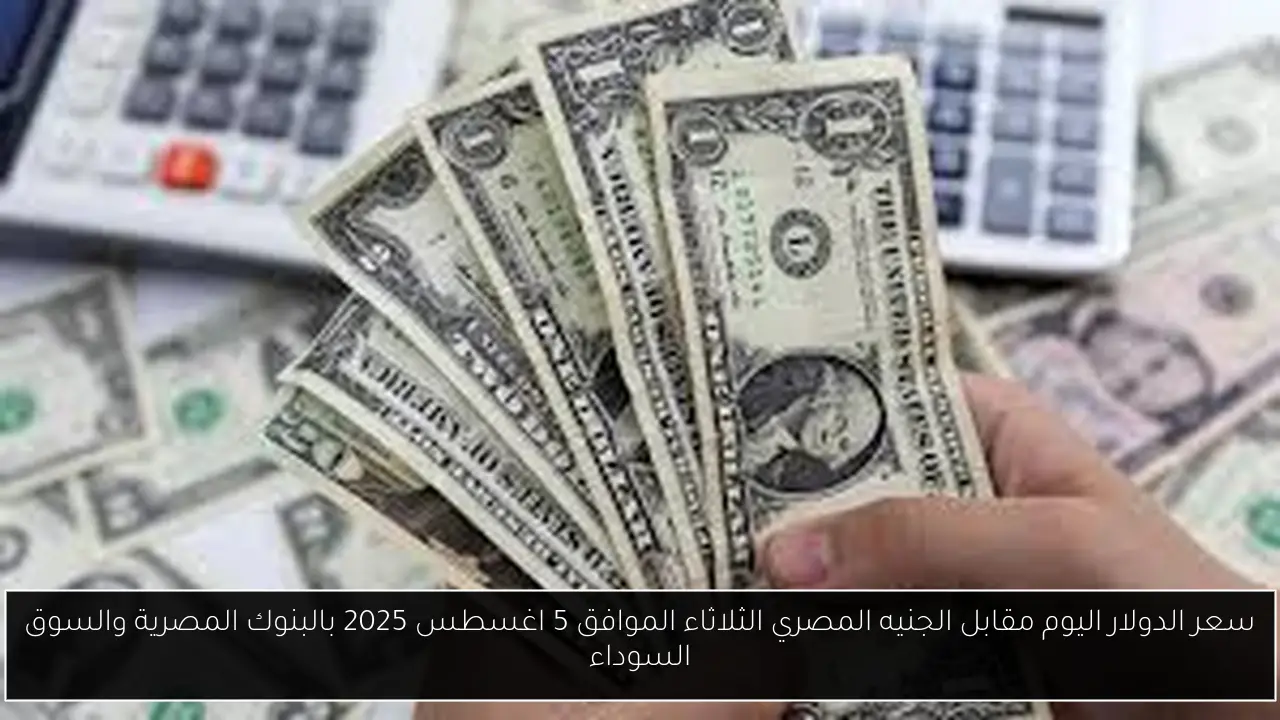سعر الدولار اليوم مقابل الجنيه المصري