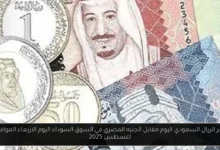 سعر الريال السعودي اليوم مقابل الجنيه المصري في السوق السوداء اليوم